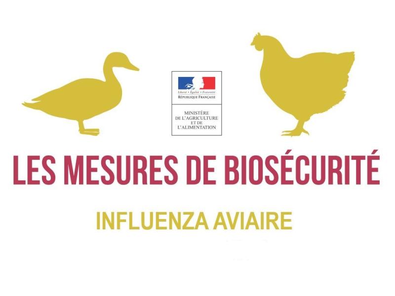 INFLUENZA - Passage du niveau de risque en matière d'IAHP à "élevé"