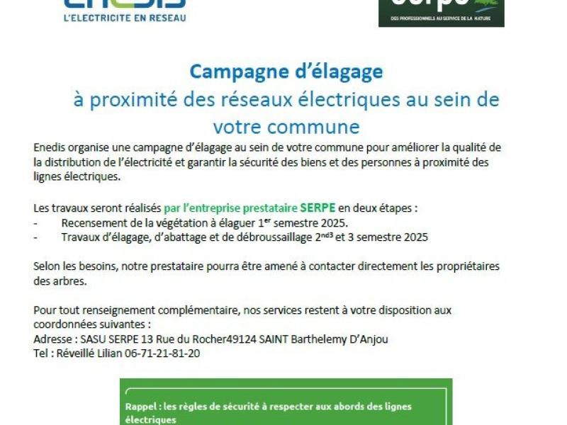 CAMPAGNE D'ELAGAGE