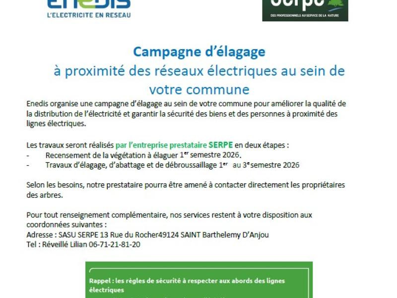 CAMPAGNE D'ELAGAGE