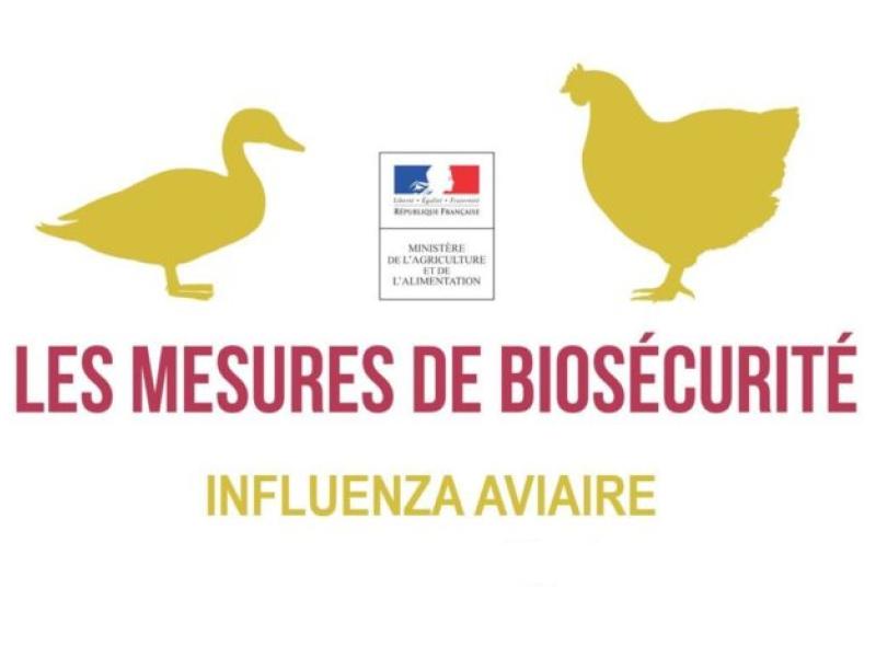 MESURES IAHP ET CONTEXTE DE FORTES CHALEURS